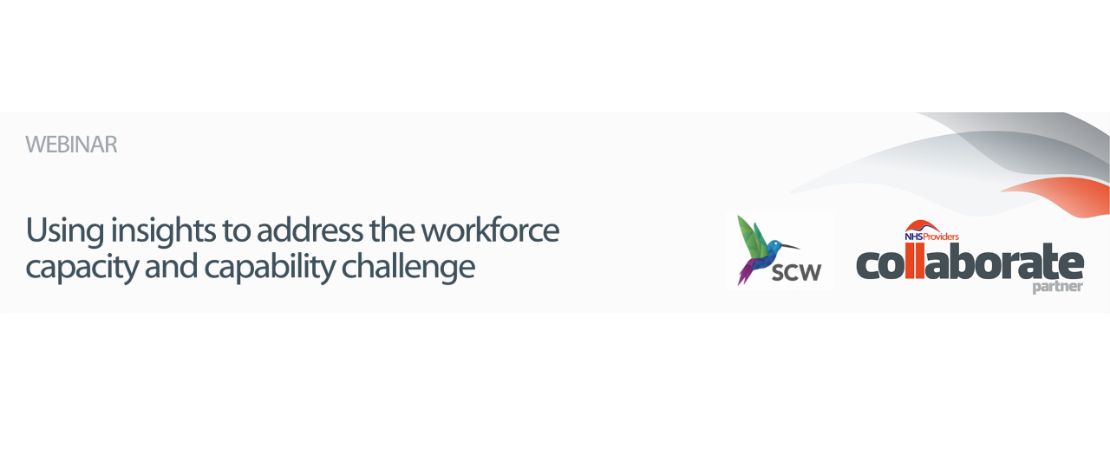 Webinar: using insights to address the workforce capacity and capability challenge