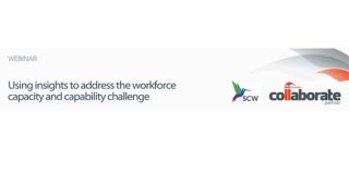 Webinar: using insights to address the workforce capacity and capability challenge