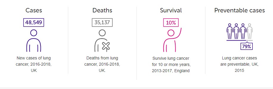 Diagram of lung cancer cases, deaths, survival and preventable cases